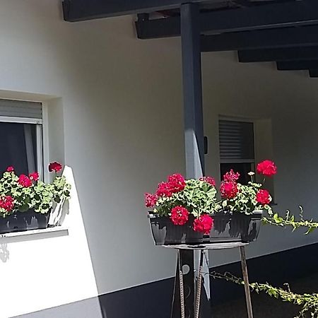 Apartma Mbm Apartment Križevci pri Ljutomeru Exterior foto